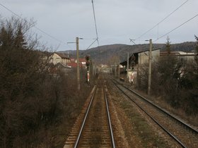IMG_9288