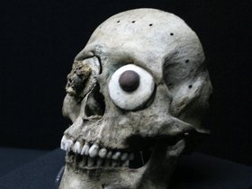 IMG_1104_
