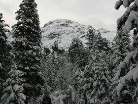 IMG_2587
