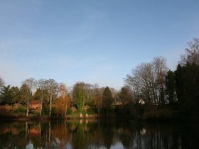 IMG_2651