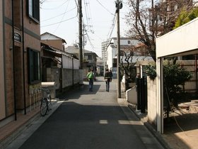 IMG_8587