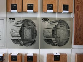 IMG_8667