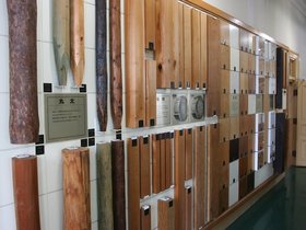 IMG_8669