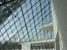 IMG_8684