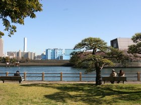 IMG_8699