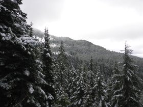 P1010234