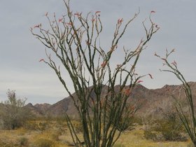 IMG_3603