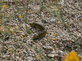 IMG_3613