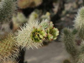 IMG_3620