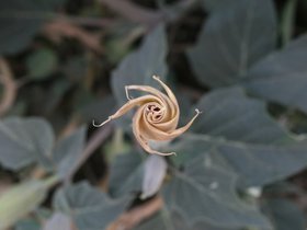 IMG_3637