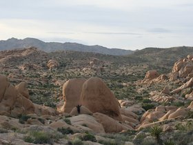 IMG_3658