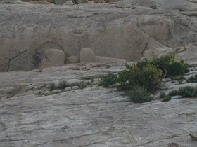 IMG_3673