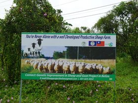 DSC00099
