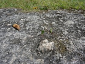 DSC00182