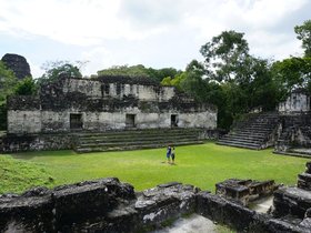 DSC00206