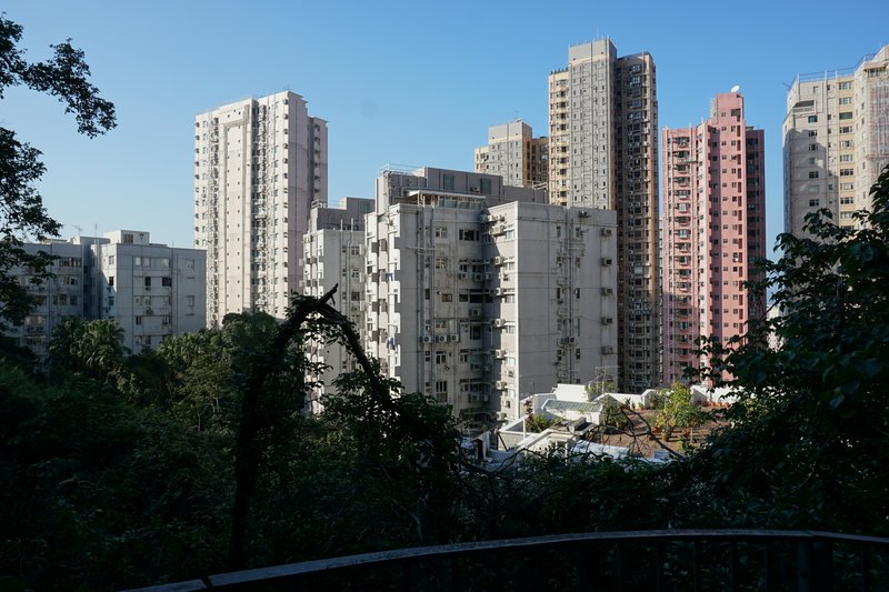 DSC00423