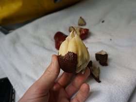 DSC00445