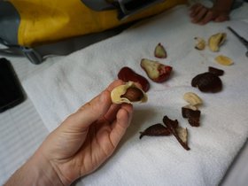 DSC00446