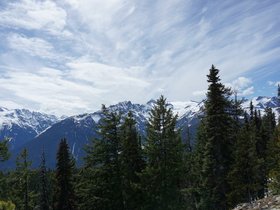 DSC00246