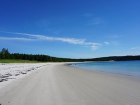DSC00259
