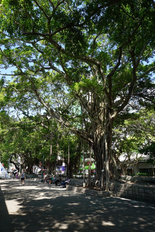 DSC00720