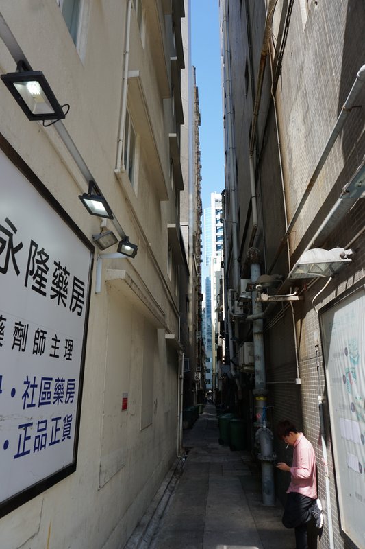 DSC00725