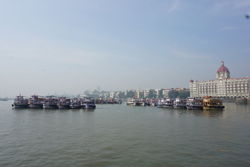 DSC00766