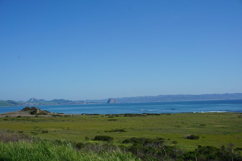 DSC00510