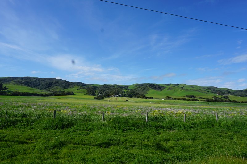 DSC00524