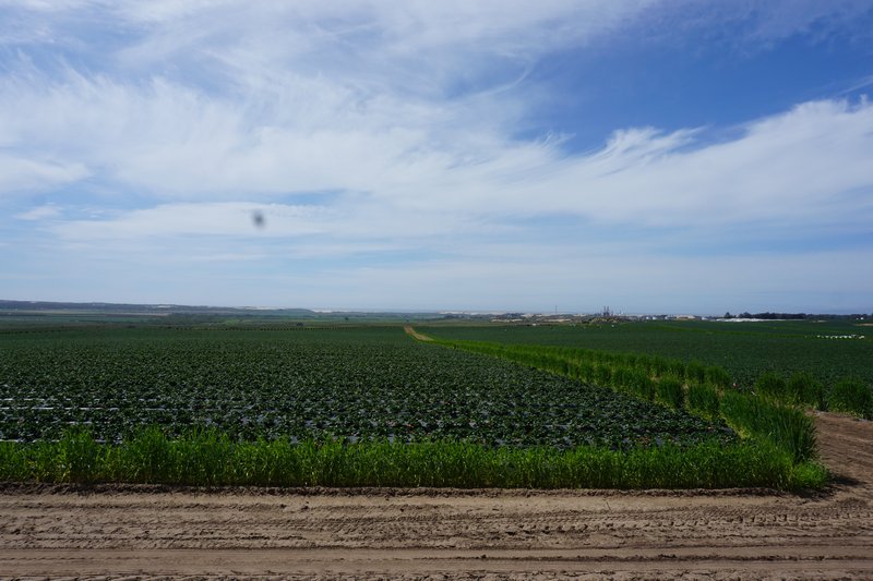 DSC00528