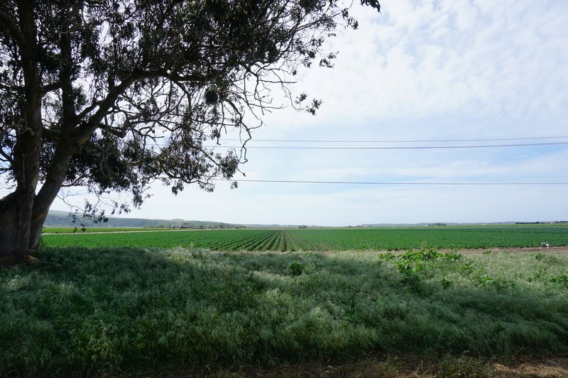 DSC00534