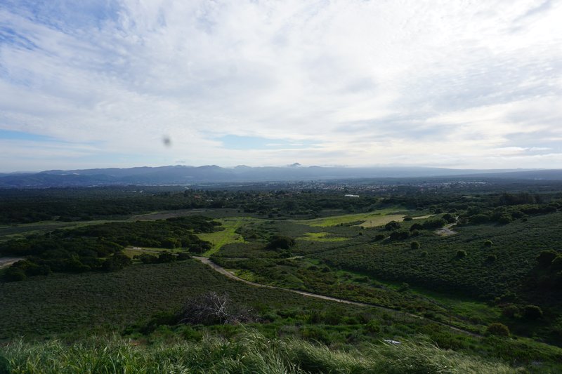 DSC00539