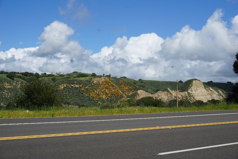 DSC00550