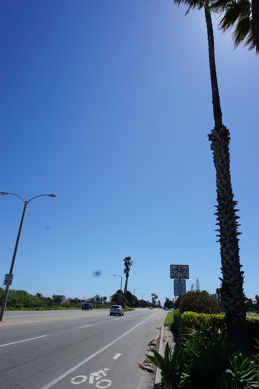 DSC00589