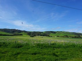 DSC00524