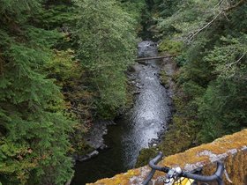 DSC02655