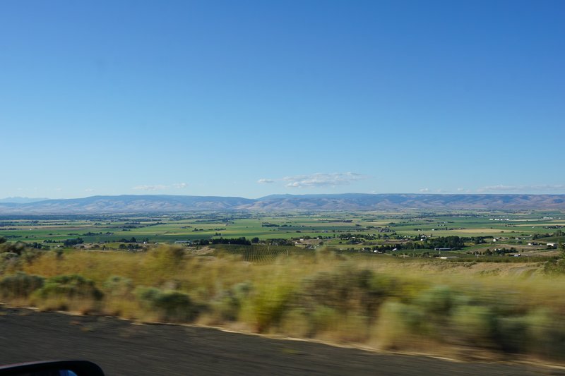 DSC02547