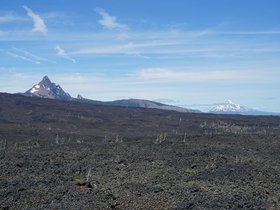 DSC02437