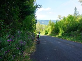 DSC02465