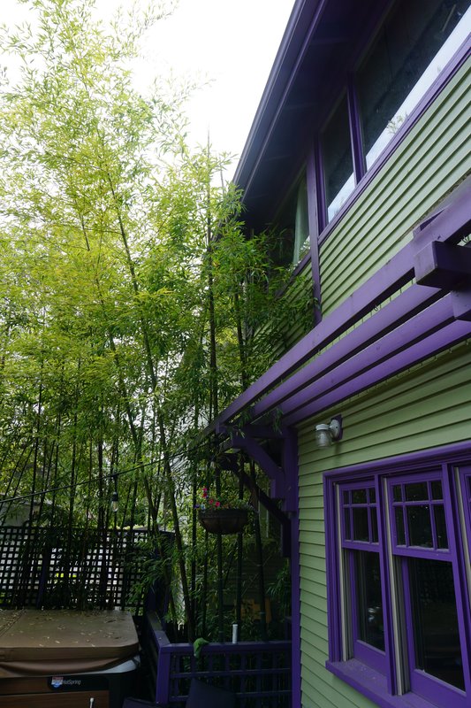 DSC02156