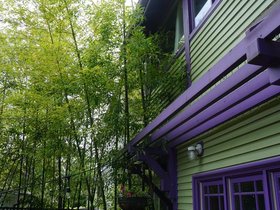 DSC02156