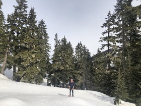 IMG_5371