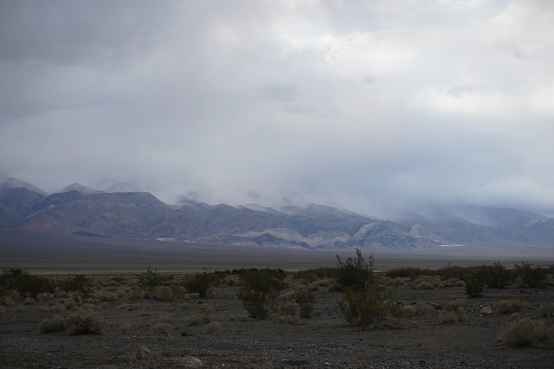 DSC01480