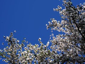 DSC01356