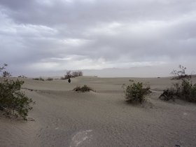 DSC01461