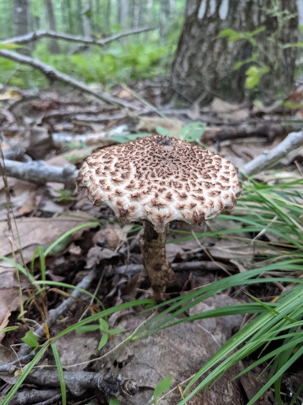 PXL_20210828_210257218