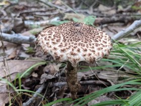 PXL_20210828_210257218