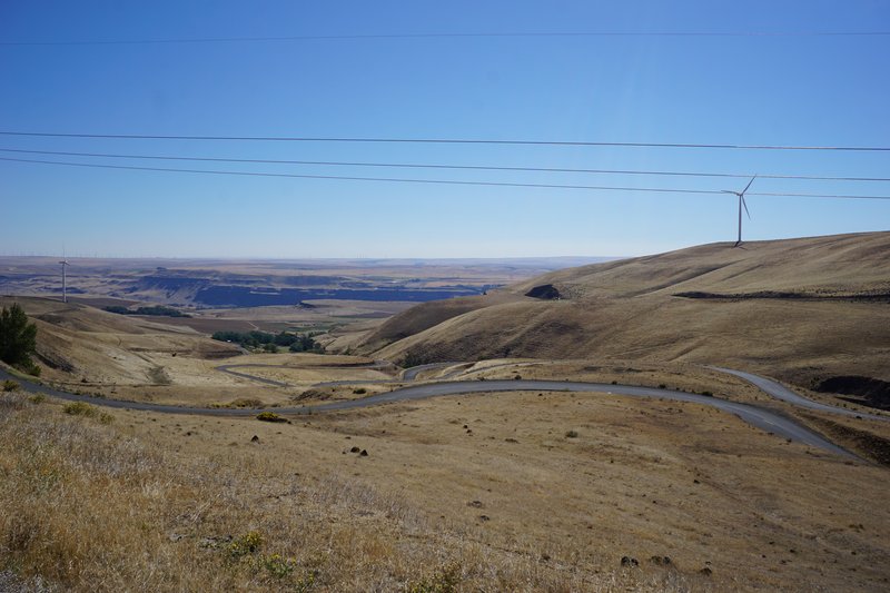 DSC03554