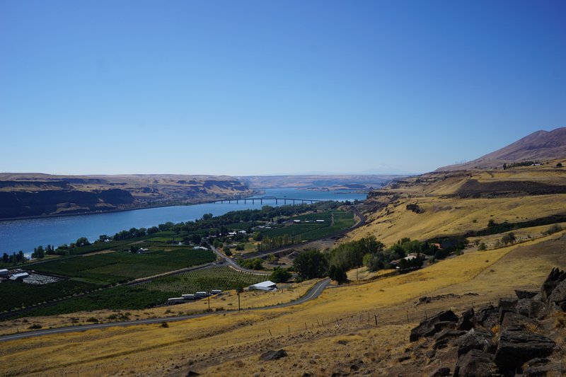 DSC03564