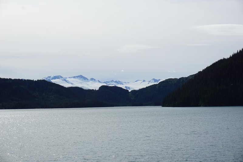 DSC04015